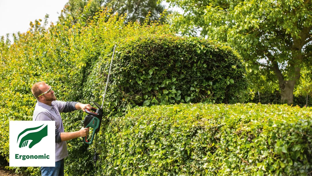 Bosch Home & Garden Elektro-Heckenschere AdvancedHedgeCut 65 | Grün