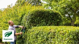 Bosch Home & Garden Elektro-Heckenschere AdvancedHedgeCut 65 | Grün