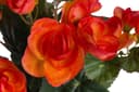 Kunstblume Begonienbusch | Orange 2