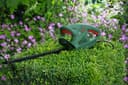 Bosch Home & Garden Elektro-Heckenschere EasyHedgeCut55 | Grün 2
