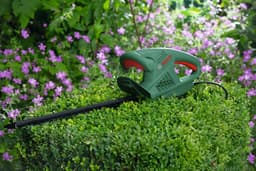 Bosch Home & Garden Elektro-Heckenschere EasyHedgeCut55 | Grün