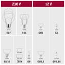 Paulmann LED-Filament 230V Globe G95 1055lm 9W 2700K Klar 4