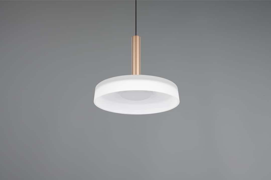 TRIO Leuchten CELESTE Pendelleuchte | Schwarz