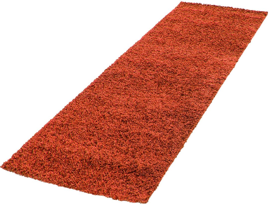 Ayyildiz Teppiche Life Shaggy 1500 | Terrakotta