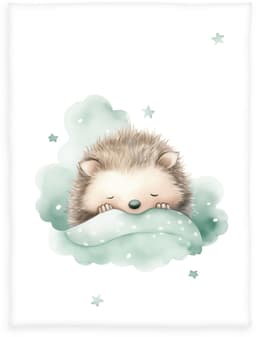 Babydecke babybest Kleiner Igel | Mehrfarbig