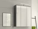 welltime Badezimmerspiegelschrank LUCCA | Grau 3