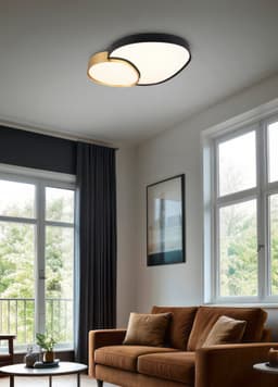 TRIO Leuchten RISE Deckenleuchte | Schwarz