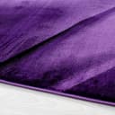 Ayyildiz Teppiche Teppich MIAMI 6590 | Lila 5