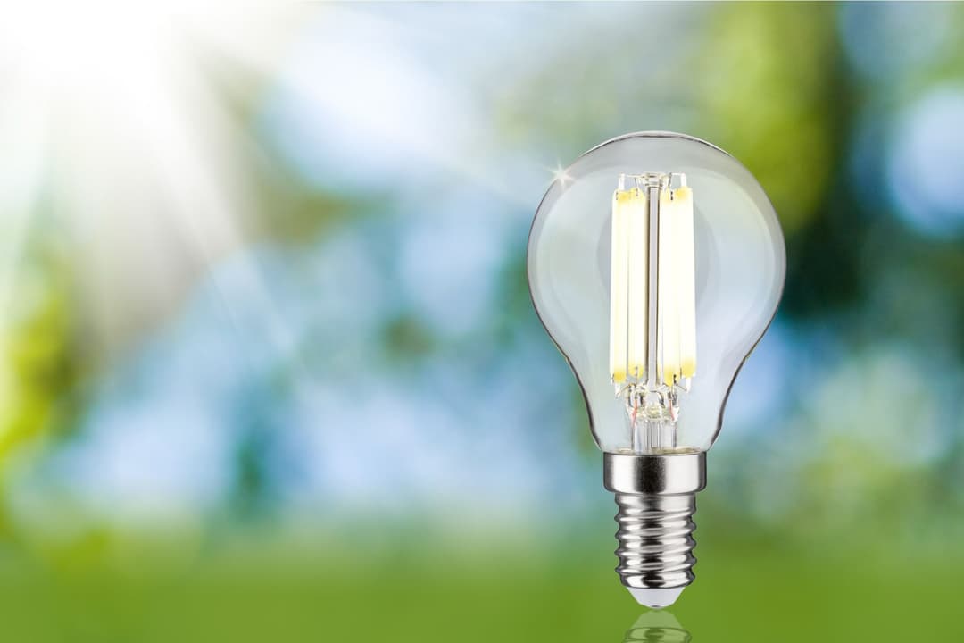 Paulmann LED-Leuchtmittel Eco-Line Filament | Transparent