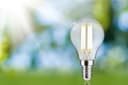 Paulmann LED-Leuchtmittel Eco-Line Filament | Transparent 5