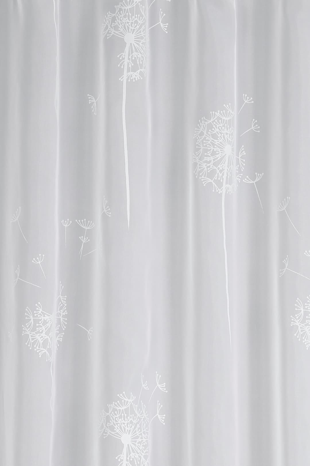 Sehlbach Gardine Schal Voile mit Flockprint Pusteblume | Weiß