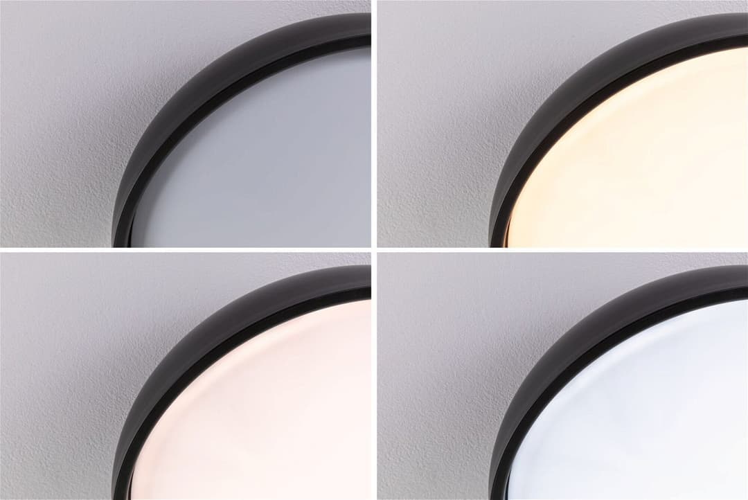Paulmann Selection Bathroom Oka Deckenleuchte | Schwarz