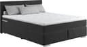 COTTA Boxspringbett Simba | Schwarz