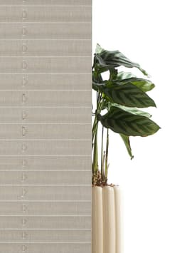 OTTO home Plissee Willa | Beige