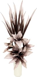 Kunstblume Soft-Blumenarrangement I.GE.A. | Braun