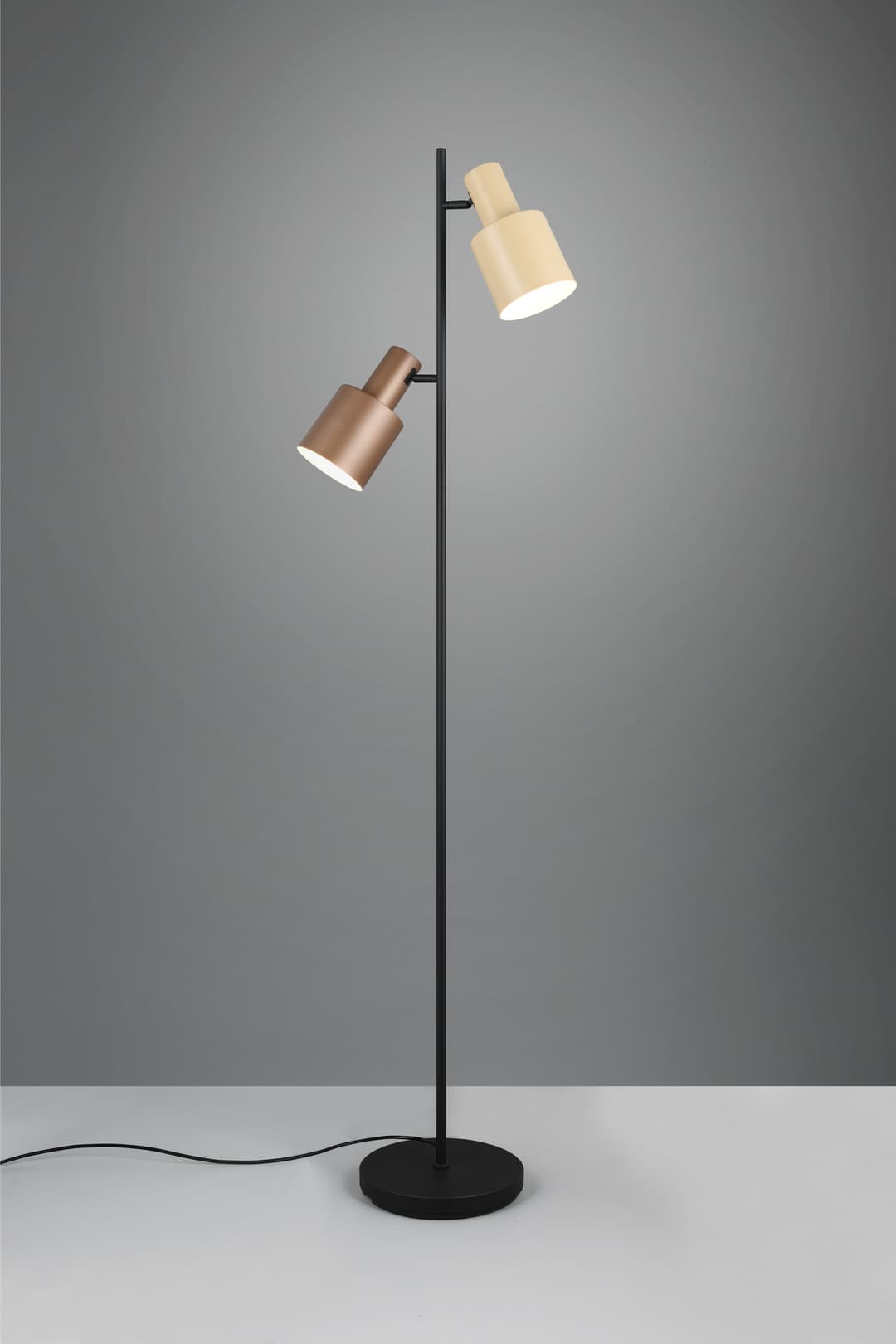 TRIO Leuchten AGUDO Stehleuchte | Schwarz