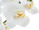 Kunstpflanze Orchidee | Weiß 2