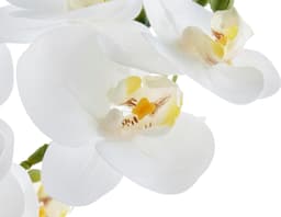 Kunstpflanze Orchidee | Weiß