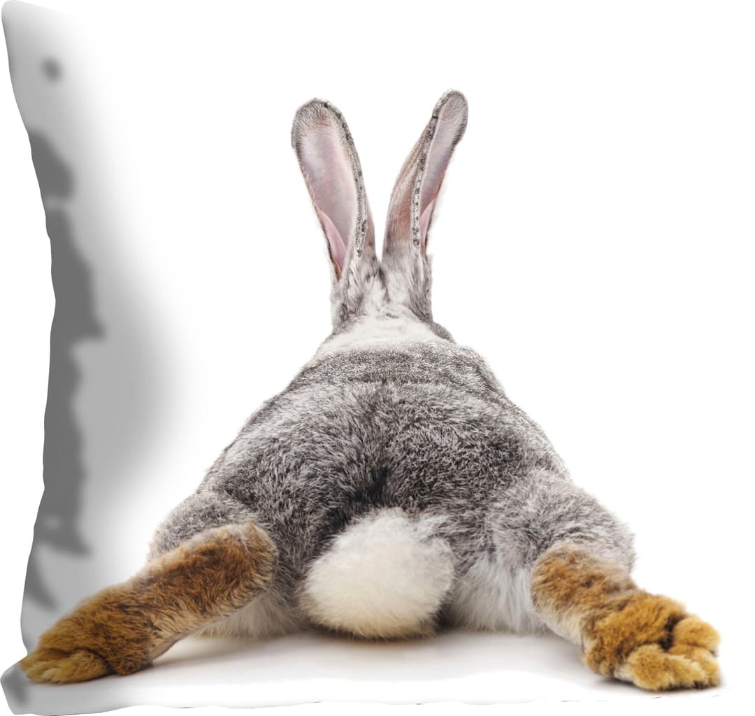 queence Dekokissen Rabbit Tail | Grau