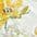 APELT Mitteldecke 6405 SPRINGTIME | Mehrfarbig 3