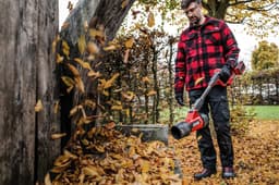 Einhell Akku-Laubbläser PROFESSIONAL GP-LB 36/270 Li E | Mehrfarbig