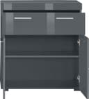 welltime Avena Badezimmerschrank | Grau 4