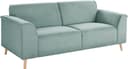 Home affaire Janek 2,5-Sitzer Sofa | Grün 3