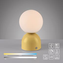 SCHÖNER WOHNEN-Kollektion LED Tischleuchte RUDI | Beige