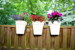 KHW Balkonkasten Flowerclip | Weiß