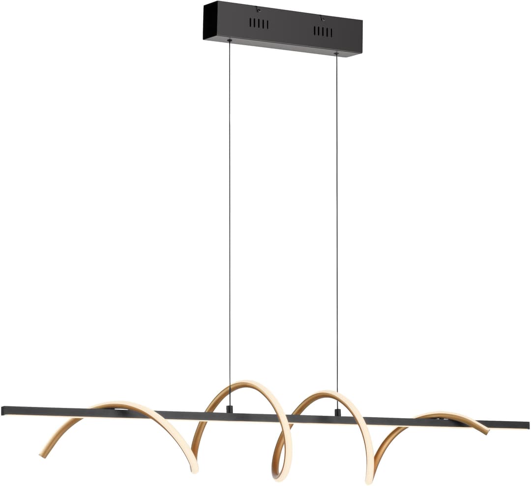 JUST LIGHT Pendelleuchte EMANDA | Schwarz