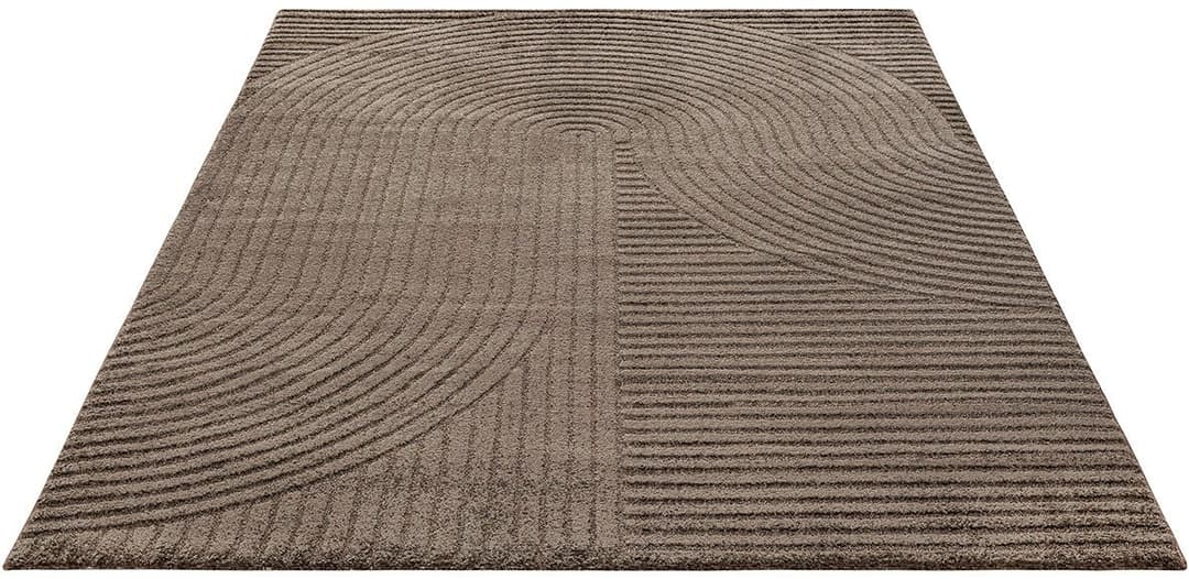 the carpet Teppich Everest | Braun
