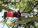 Einhell Akku-Hochentaster GE-LC 18 Li T-Solo | Rot 2