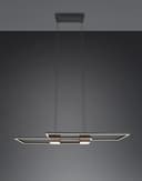 TRIO Leuchten ALBANY LED Pendelleuchte | Schwarz 5