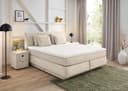Jockenhöfer Gruppe Boxspringbett Carla | Beige
