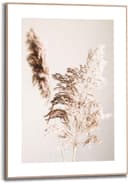 Reinders! Gerahmtes Bild Pampasgras Natur | Beige 2