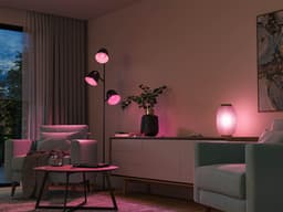 Philips Hue LED-Leuchtmittel White & Color Ambiance Luster | Weiß