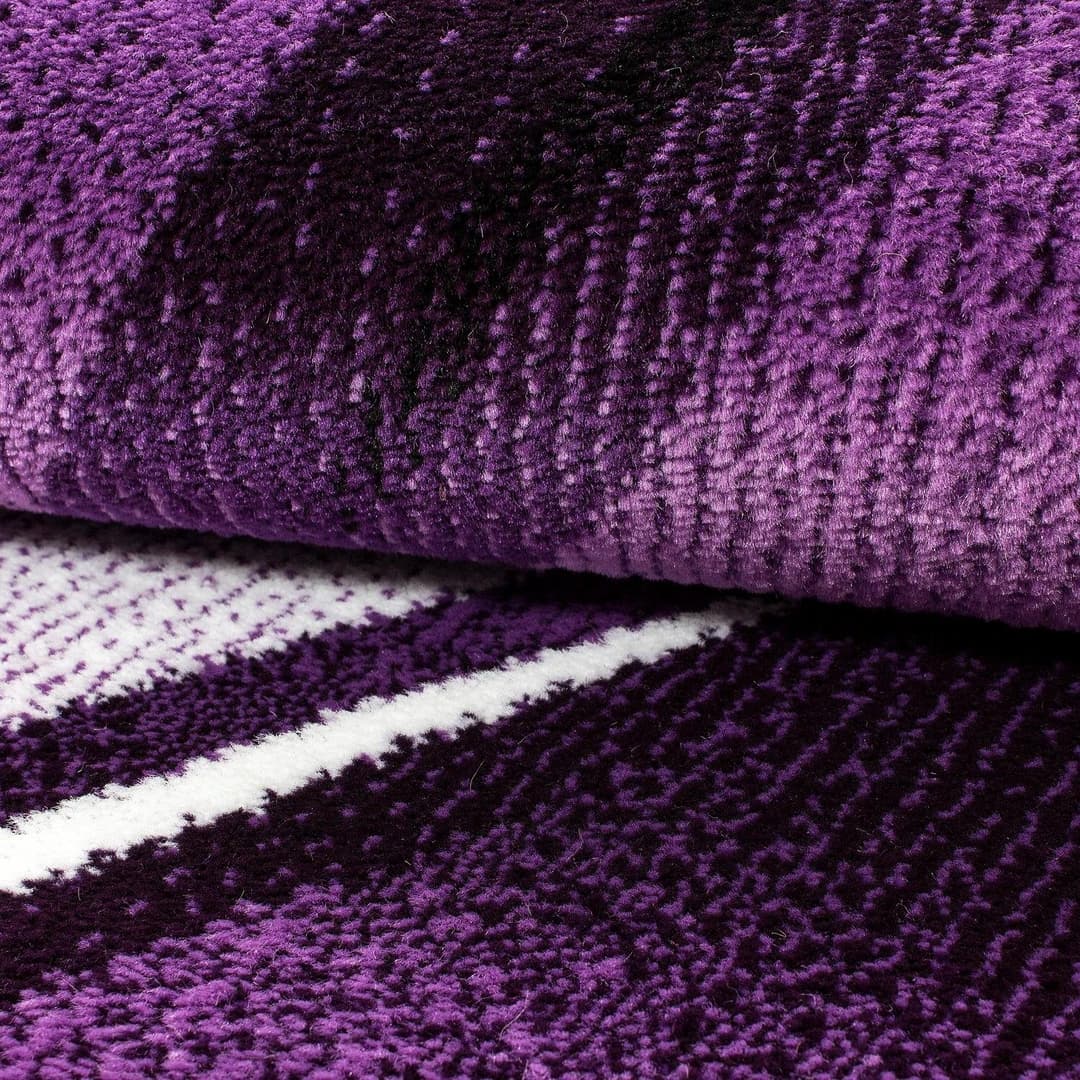 Ayyildiz Teppiche Teppich Parma 9210 | Lila