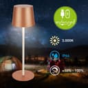Briloner Leuchten LED Außen-Tischleuchte BOTA 7708014 | Kupfer 4