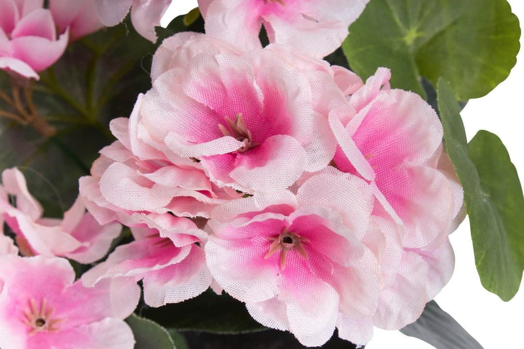 Kunstblume Geranie | Mehrfarbig