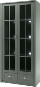 Home affaire Vitrine Ascot | Grün 3
