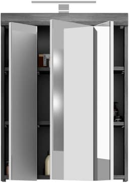 welltime Spiegelschrank SIENA | Grau