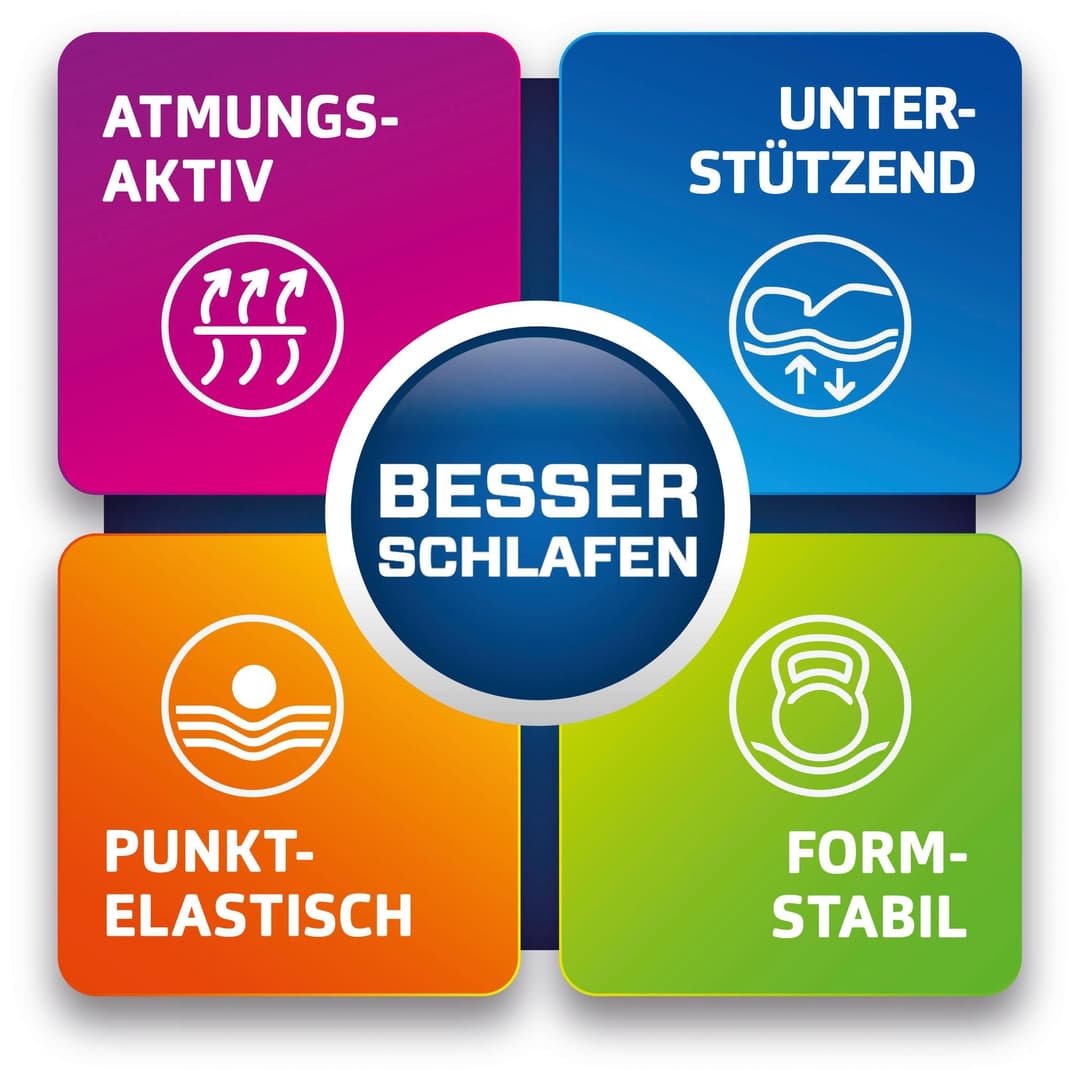 Kaltschaummatratze Punktoflex de Luxe KS | Weiß