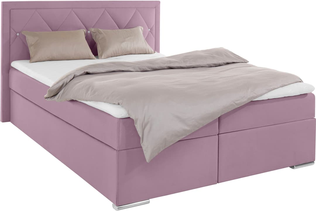 Home affaire Boxbett Alfie | Rosa