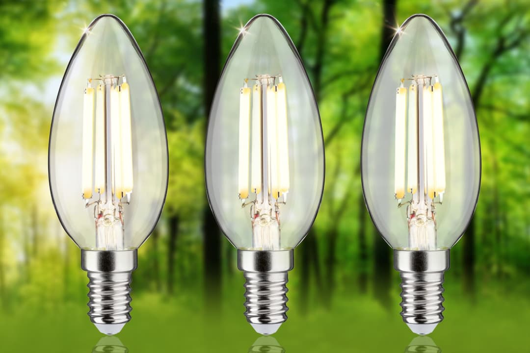 Paulmann LED-Leuchtmittel Eco-Line Filament 230V LED Kerze E14 | Weiß