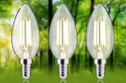 Paulmann LED-Leuchtmittel Eco-Line Filament 230V LED Kerze E14 | Weiß