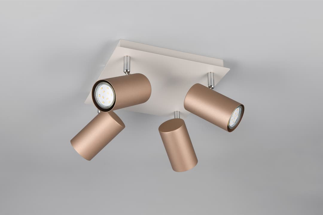 TRIO Leuchten Deckenstrahler MARLEY | Braun