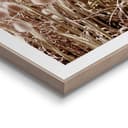 Reinders! Poster Strand | Beige 4