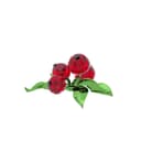Swarovski Dekofigur Kristallfigur Idyllia Rote Beeren | Rot 2