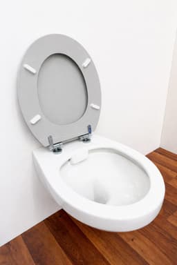 welltime WC-Sitz Classic Colours | Grau