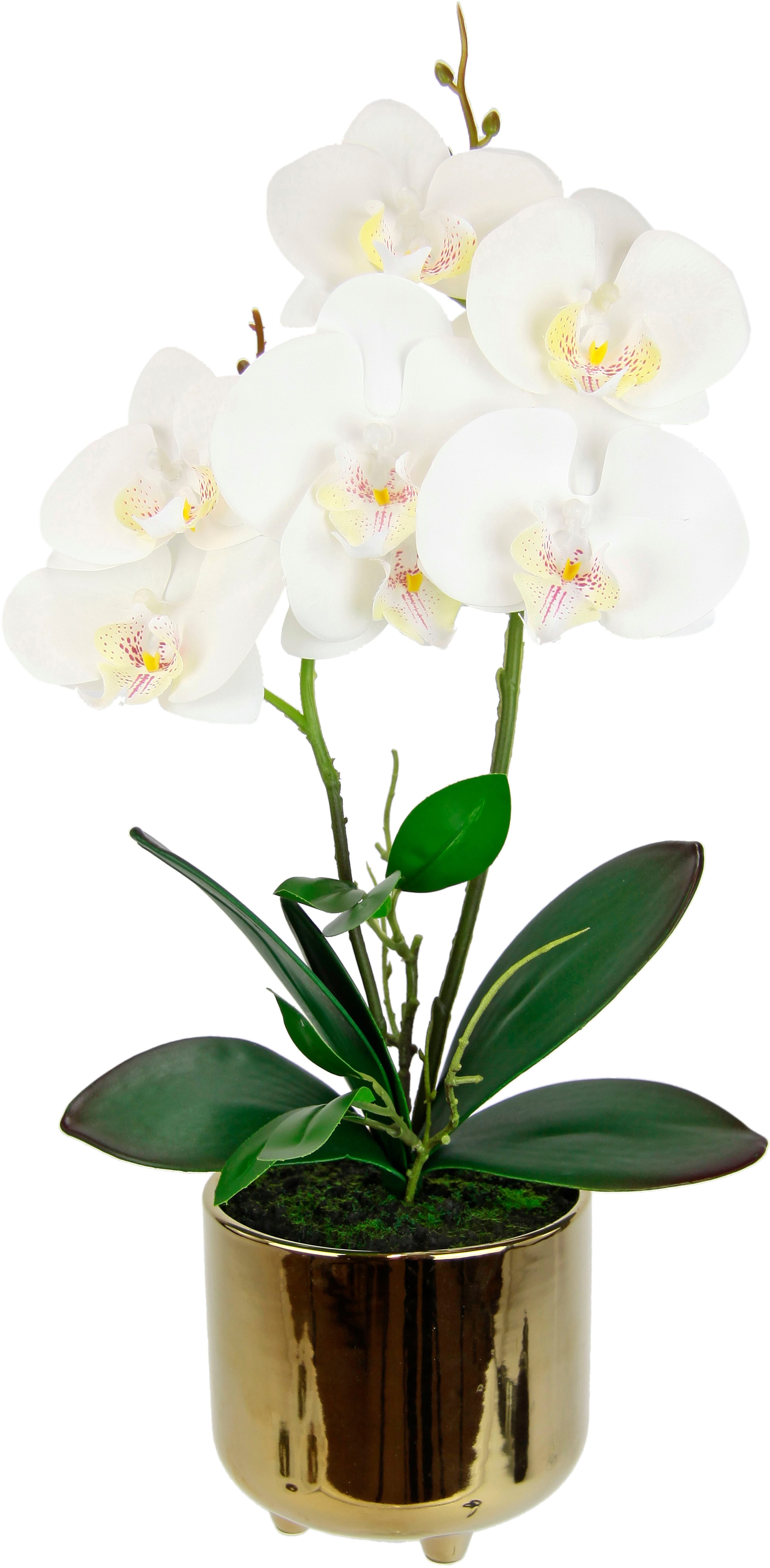 Kunstblume Orchidee I.GE.A. | Weiß